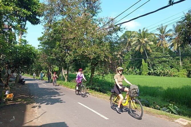 Ubud : Kintamani Downhill Cycling Tour with Lunch - Why the transport is worth having