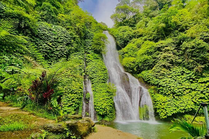 Ubud : Kintamani Downhill Cycling Tour with Lunch - A good deal at $29.90