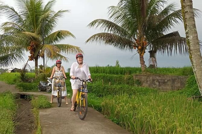 Ubud : Kintamani Downhill Cycling Tour with Lunch - Village roads, rice fields, and quiet views