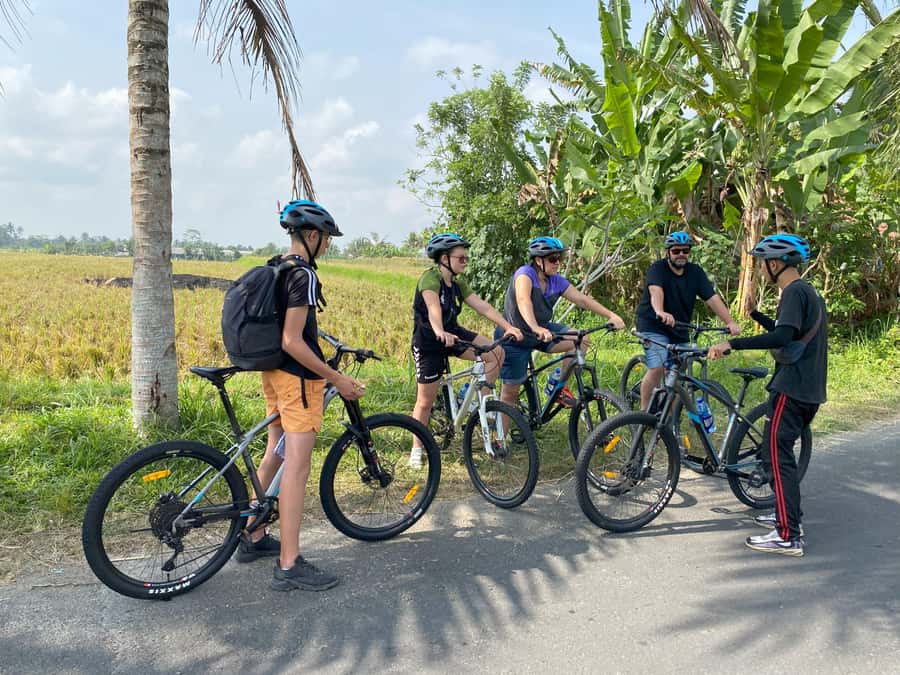 Ubud: Kintamani Downhill Cycling with small group & Private - Starting at Pukuh Sari in Bayung Gede