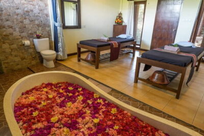 Ubud Luxury Bali Spa Package with amidst rice fields