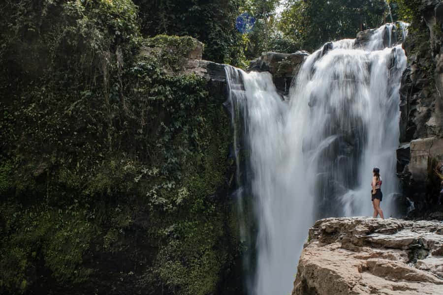 Ubud: Monkey Forest, Ceking Rice Terraces and More– Full Day - Key points at a glance