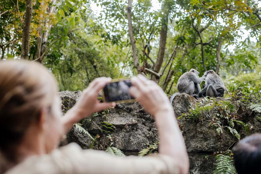 Ubud: Monkey Forest, Ceking Rice Terraces and More– Full Day - Why this Ubud day tour works