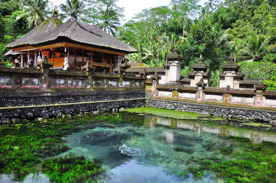 Ubud: Monkey Forest, Ceking Rice Terraces and More– Full Day - Tegallalang Rice Terrace: the best walk of the day