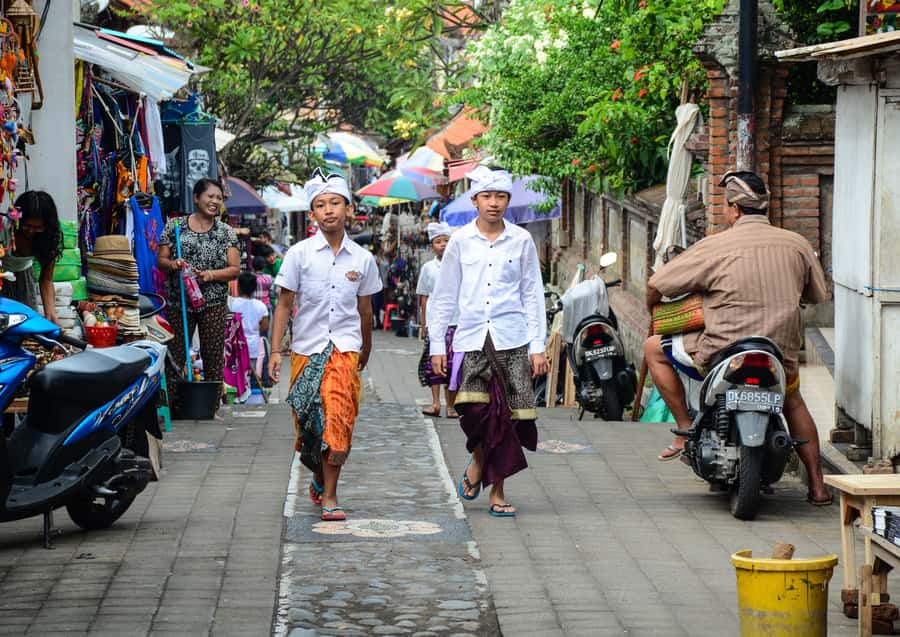 Ubud: Monkey Forest, Ceking Rice Terraces and More– Full Day - What the IDR 37 price really covers
