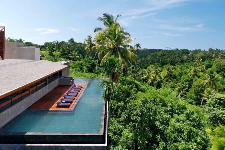 Ubud/Monkey Forest: Habitat Bistro Dining E-Voucher - Settling into the nature-inspired dining room