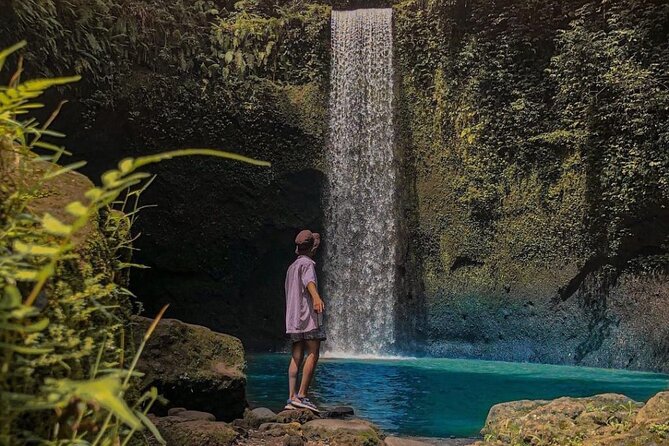 Ubud Monkey Forest, Holy Water Temple & Waterfalls Tours - A full day built around Ubud’s contrasts