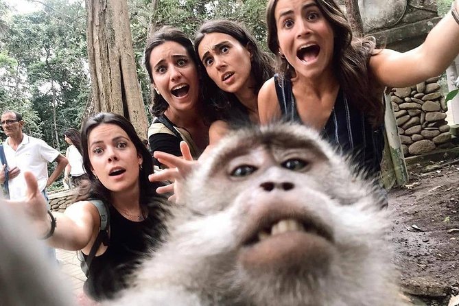 Ubud Monkey Forest, Holy Water Temple & Waterfalls Tours - 4 p.m. swimming at Tibumana Waterfall