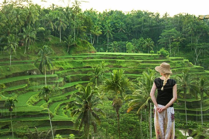Ubud: Monkey Forest, Jungle Swing, Rice Terrace, and Water Temple - The Happy Swing and its big views