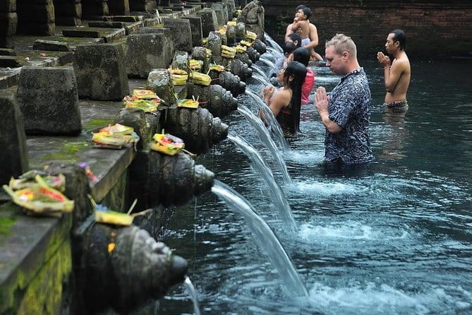 Ubud Monkey Forest Rice Terrace Temple Waterfall Private Tour - What the $27.35 price really covers