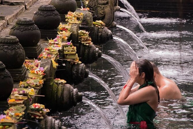 Ubud Monkey Forest, Rice Terrace & Tirta Empul Temple Tour - Meeting Bali’s macaques at Sacred Monkey Forest