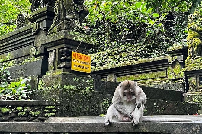 Ubud Monkey Forest, Rice Terrace & Tirta Empul Temple Tour - Shopping at Ubud Traditional Art Market