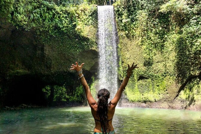 Ubud Monkey Forest, Rice Terrace & Tirta Empul Temple Tour - Deciding on the Ubud Jungle Swing