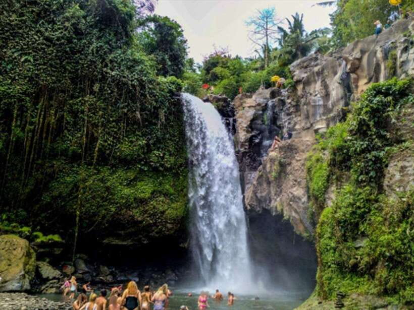 Ubud : Monkey Forest, Rice Terrace, Waterfall / Private Tour - Ubud Palace and the Market