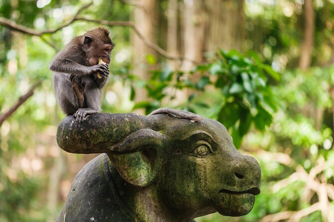 Ubud: Monkey Forest, Rice Terraces & Sacred Temples - Why this Ubud day works