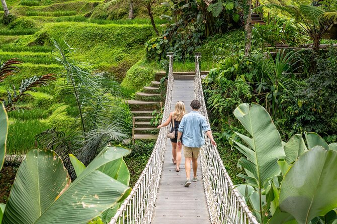 Ubud: Monkey Forest, Rice Terraces & Sacred Temples - Walking among the macaques at Monkey Forest