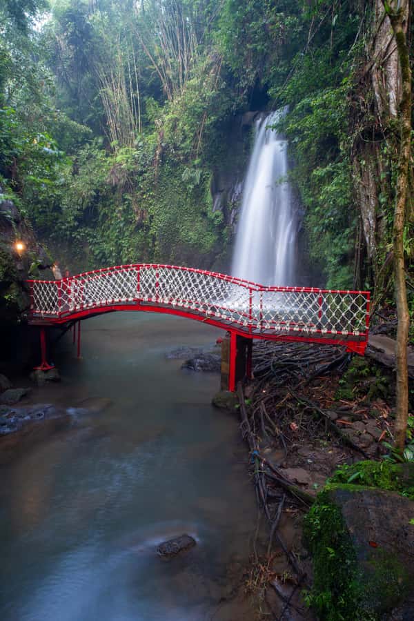 Ubud:Monkey Forest, Rice Terraces, Water Temples, Waterfalls - Key points at a glance