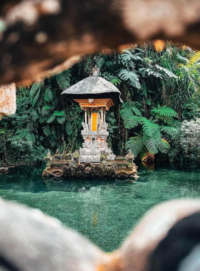 Ubud:Monkey Forest, Rice Terraces, Water Temples, Waterfalls - Why this Ubud route works so well