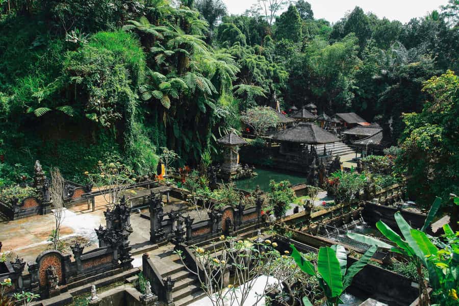 Ubud:Monkey Forest, Rice Terraces, Water Temples, Waterfalls - The guides make the practical difference