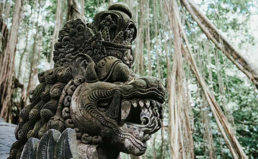 Ubud, Monkey forest, Riceterace Waterfall, Purification - Key points to know before booking