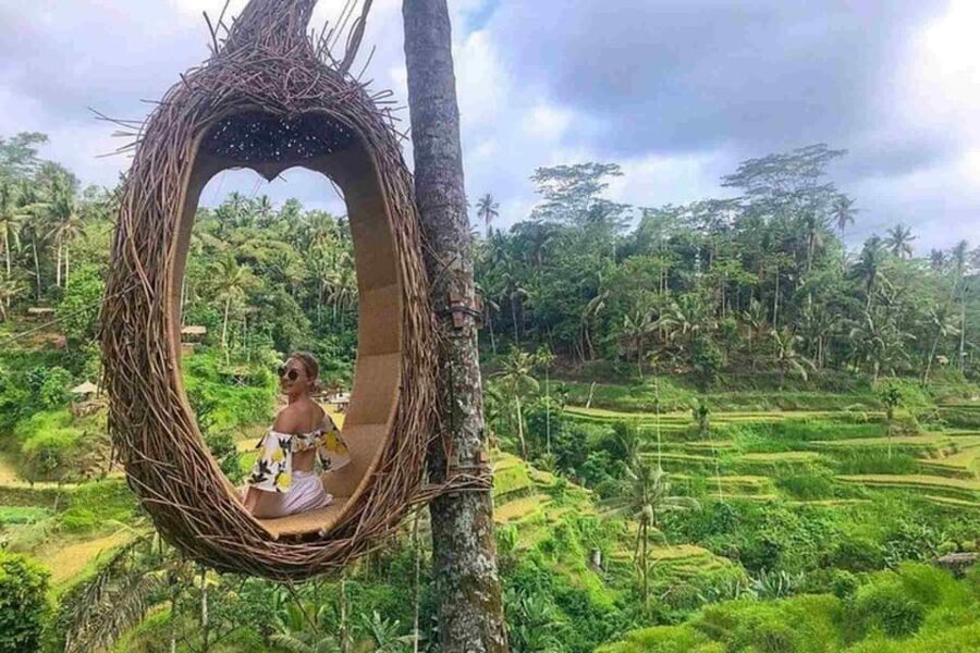 Ubud, Monkey forest, Riceterace Waterfall, Purification - Who will enjoy this most