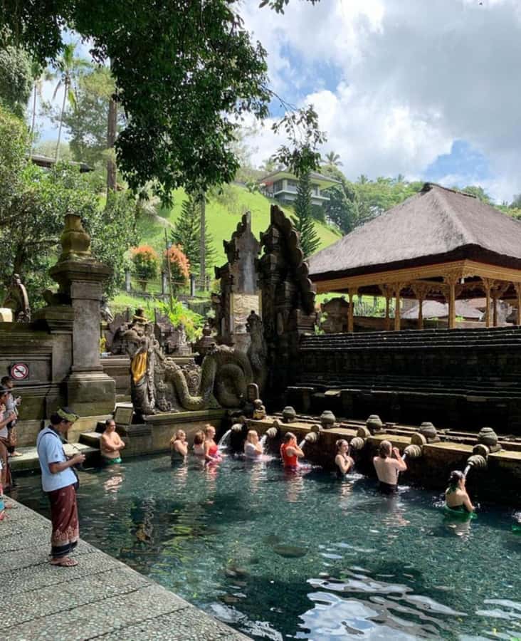 Ubud, Monkey forest, Riceterace Waterfall, Purification - Why this Ubud day makes sense