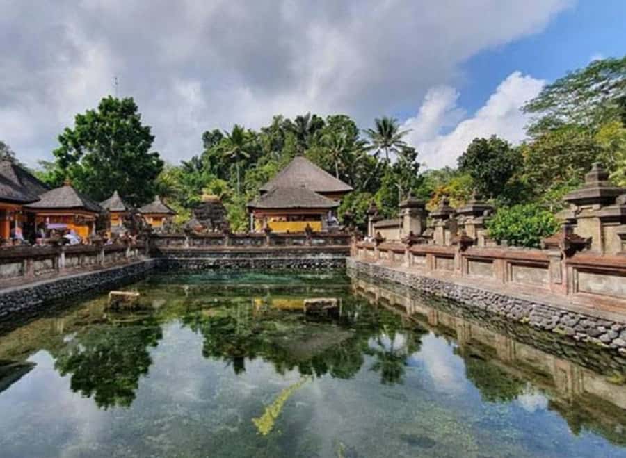 Ubud, Monkey forest, Riceterace Waterfall, Purification - Tegallalang Rice Terrace and the swing
