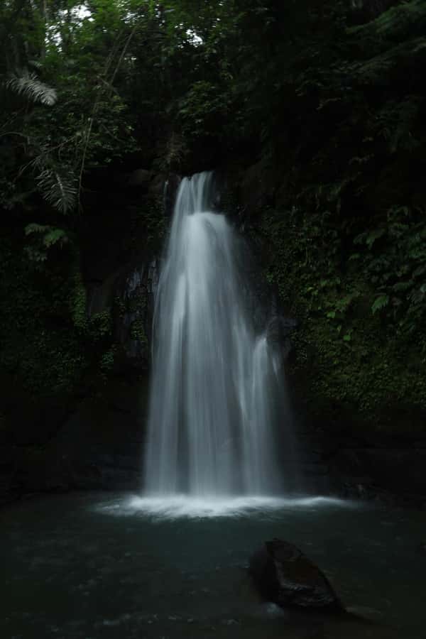 Ubud, Monkey forest, Riceterace Waterfall, Purification - The purification temple and Balinese ceremony