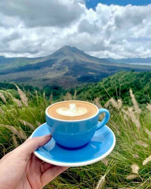 Ubud, Monkey forest, Riceterace Waterfall, Purification - Coffee plantation and local tastes
