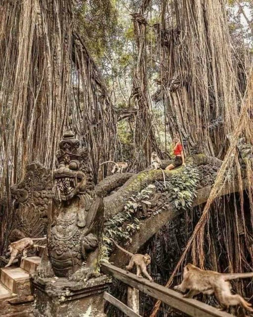 Ubud, Monkey forest, Riceterace Waterfall, Purification - Transport, timing, and what you pay