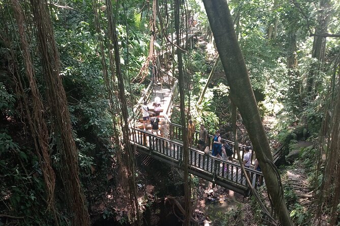 Ubud Monkey Forest Sanctuary Entrance Ticket All Inclusive - What to expect around the monkeys