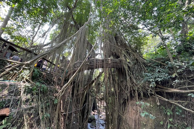 Ubud Monkey Forest Sanctuary Entrance Ticket All Inclusive - Who should book this Ubud experience?