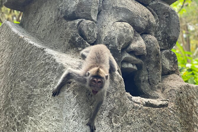 Ubud Monkey Forest Sanctuary Entrance Ticket All Inclusive - The temples, pools, and forest paths