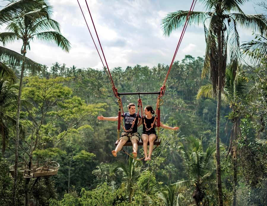 Ubud: Monkey Forest Sanctuary & Jungle Swing Tour - Who will enjoy this tour most