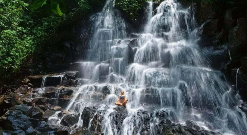 Ubud: Monkey Forest, Tegenungan Waterfall, and Rice Terraces - What the $30 private tour really gives you