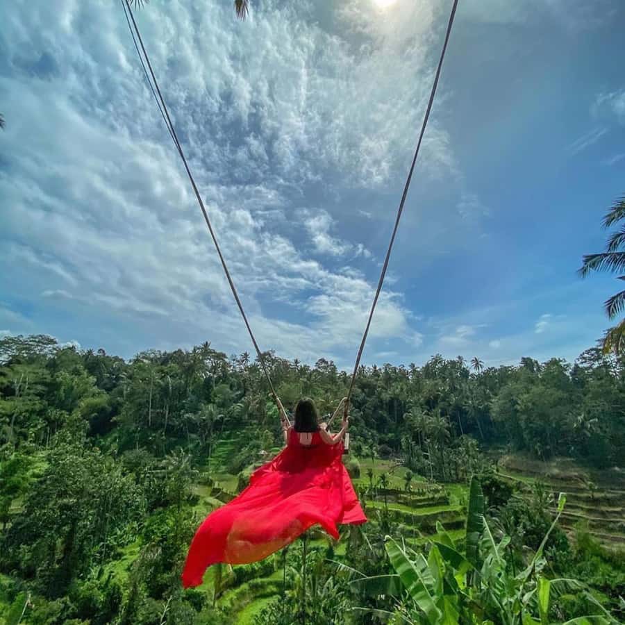 Ubud Monkey Forest, Temple, Rice Terrace and Waterfall Tour - Meeting Bali’s macaques at Sacred Monkey Forest