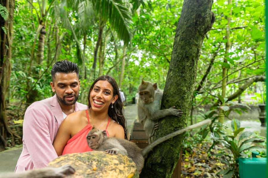 Ubud Monkey Forest, Temple, Rice Terrace and Waterfall Tour - What the private car and guide add