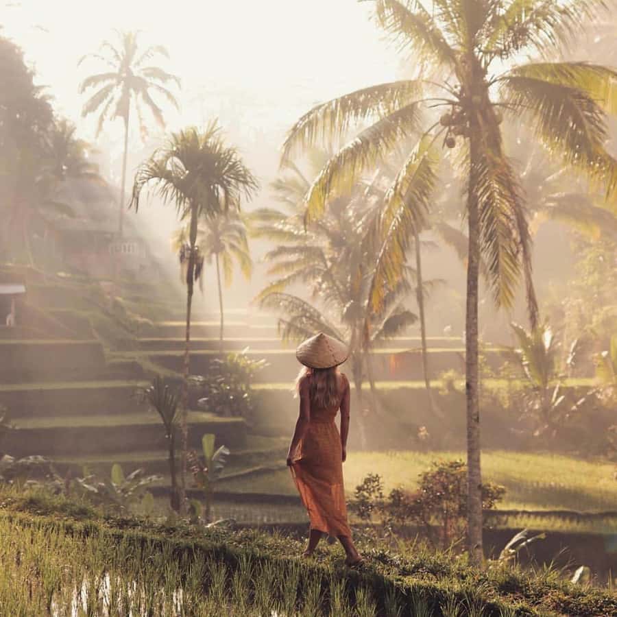 Ubud Monkey Forest, Temple, Rice Terrace and Waterfall Tour - Walking through the Tegallalang rice terraces