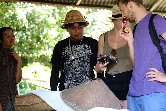Ubud Off the Beaten Path – All-Inclusive Tour - Ulu Petanu Waterfall, river paths, and caves