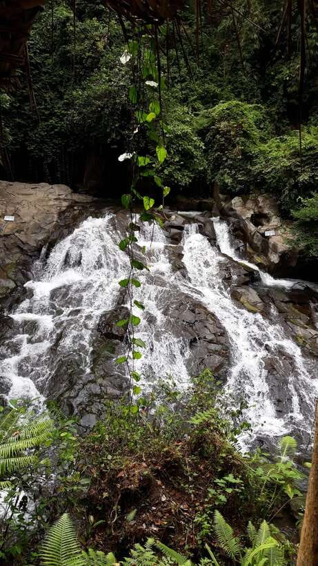 Ubud One Day Private Tour with Driver-Guide - Why a private Ubud day works well