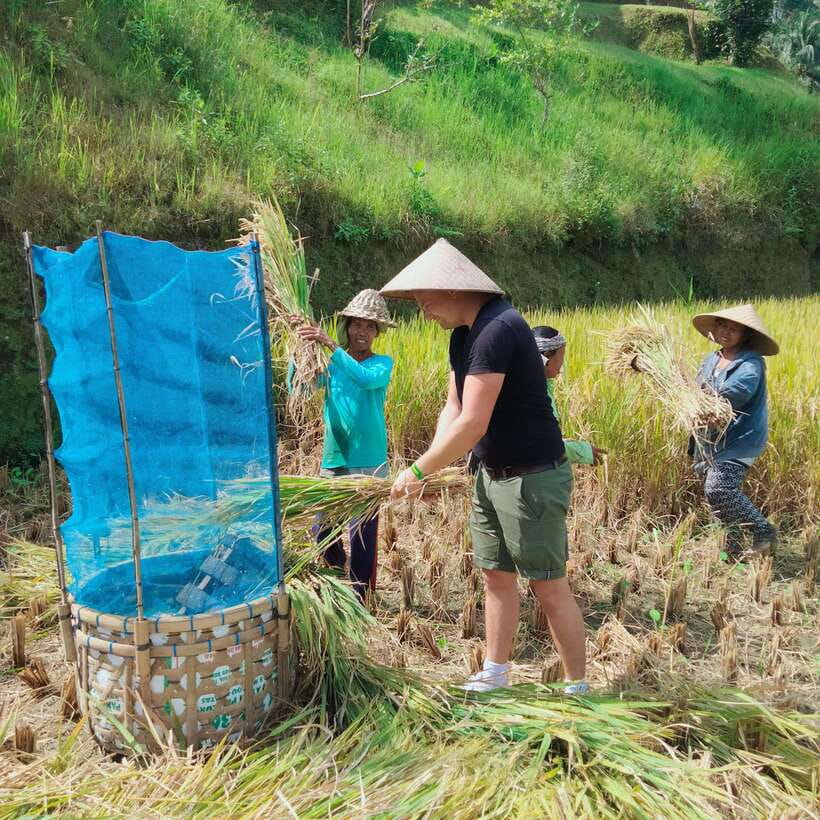 Ubud One Day Private Tour with Driver-Guide - Luwak Coffee Plantation: a planned tasting stop