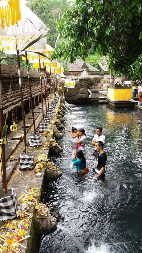 Ubud One Day Private Tour with Driver-Guide - Choosing activities without overloading the day