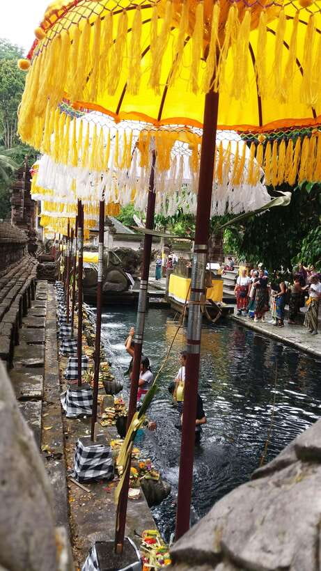 Ubud One Day Private Tour with Driver-Guide - Who should book this private tour?