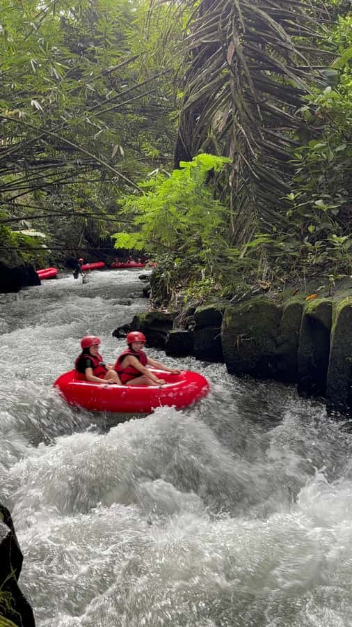 Ubud: Pakerisan Jungle River Tubing Adventure with Lunch - Floating through jungle, rapids, and waterfalls