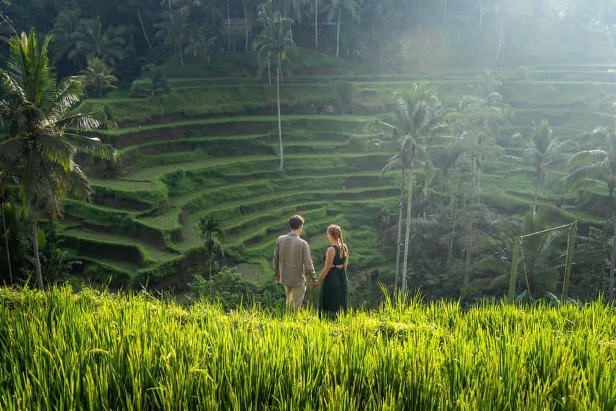 Ubud: Photography Private Tour Rice Terrace Waterfall Swing - Lunch in the jungle, with costs to check