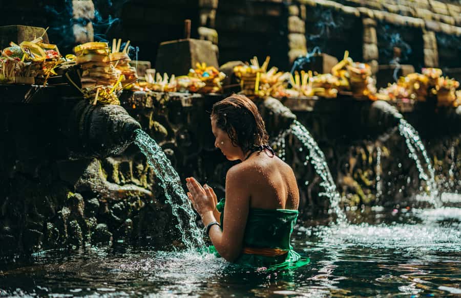 Ubud: Private All-Inclusive Tour with Lunch - The car, guide, and pace of the day