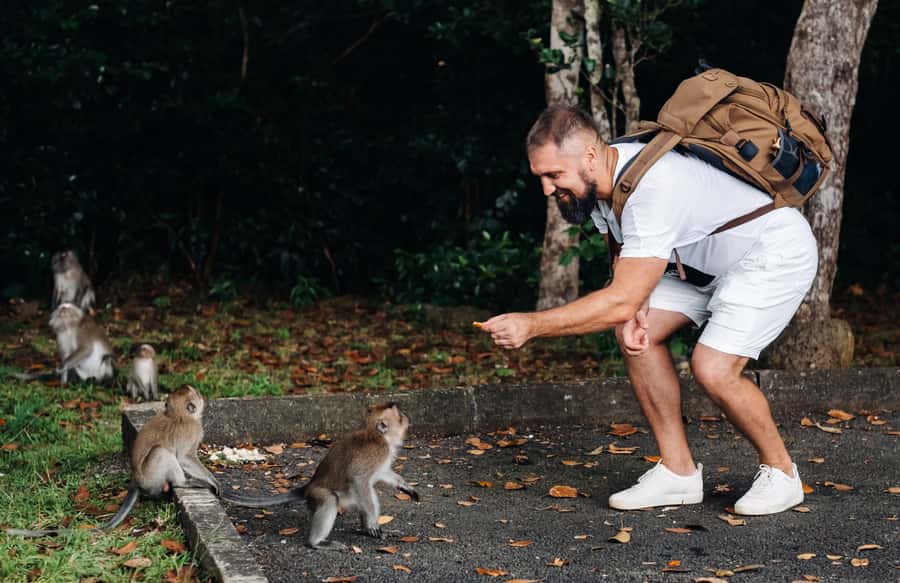 Ubud: Private All-Inclusive Tour with Lunch - What to bring and what to wear