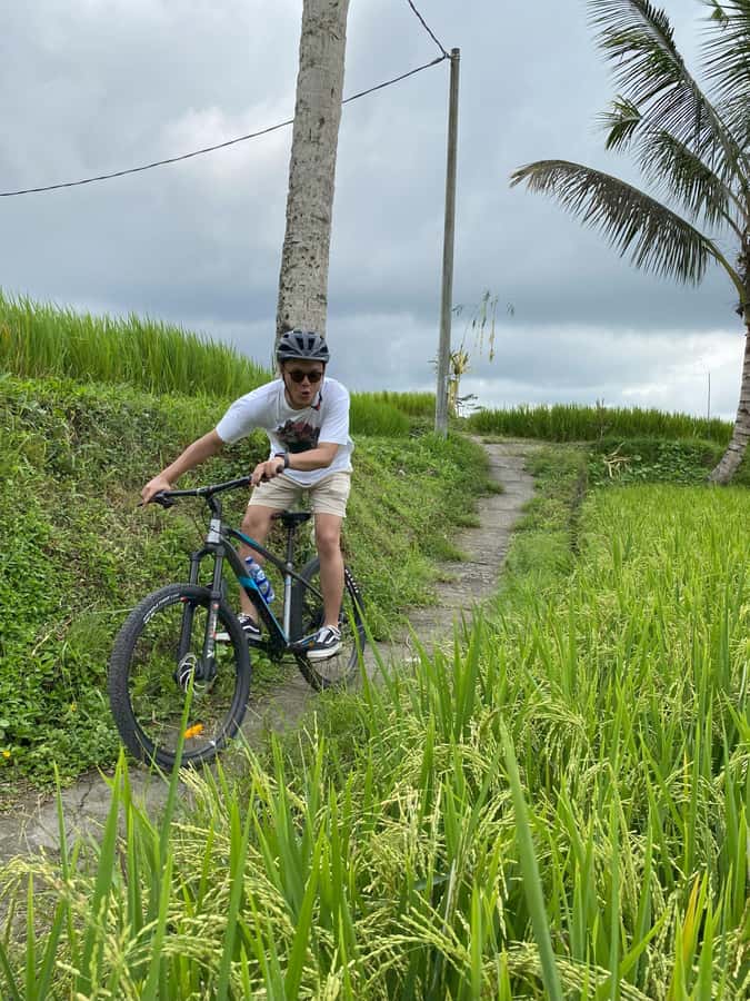 Ubud : PRIVATE Bike Tour inside Rice Field Ubud Countryside - Price, Inclusions, and Transport Costs