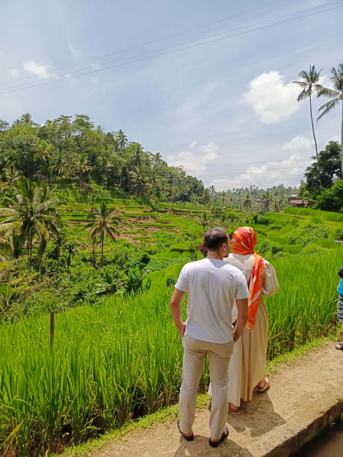 Ubud: Private Charter Car 10hours. - Key points at a glance