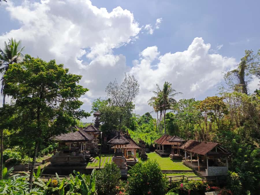 Ubud: Private Charter Car 10hours. - Why a private car works well in Ubud